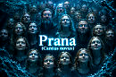 Prana  - Je te cherche (Tatiana Antsiferova Cover)