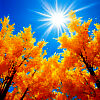 ��� ������� ���� 🍂